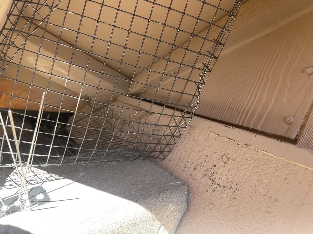 Slide of Lukas Pigeon Removal & Gutter Cleaning