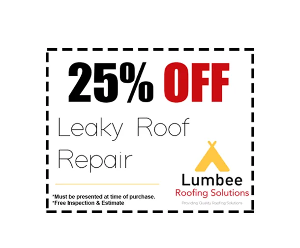 Slide of Lumbee Solutions