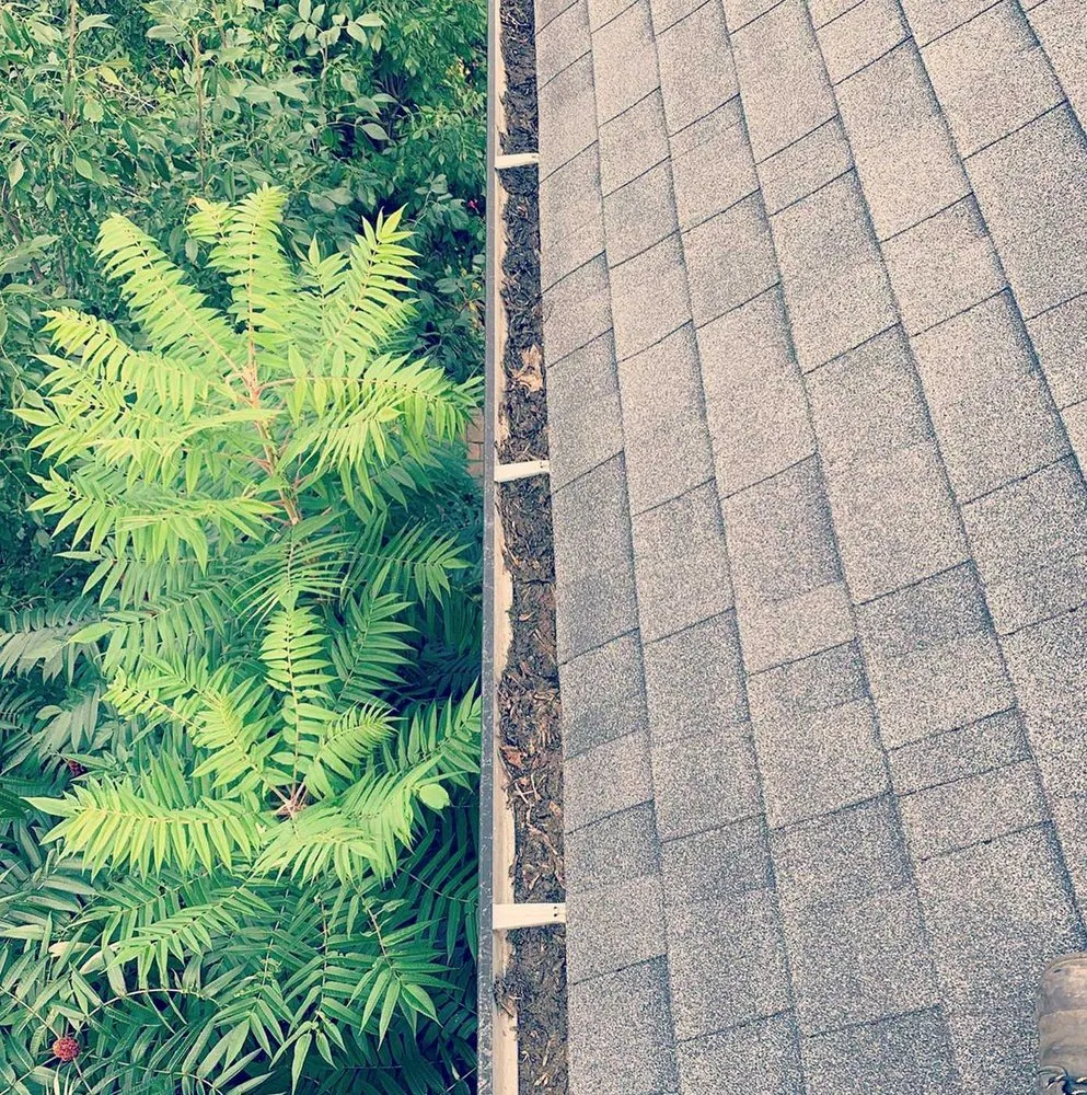 Slide of Lummus Park Roofing