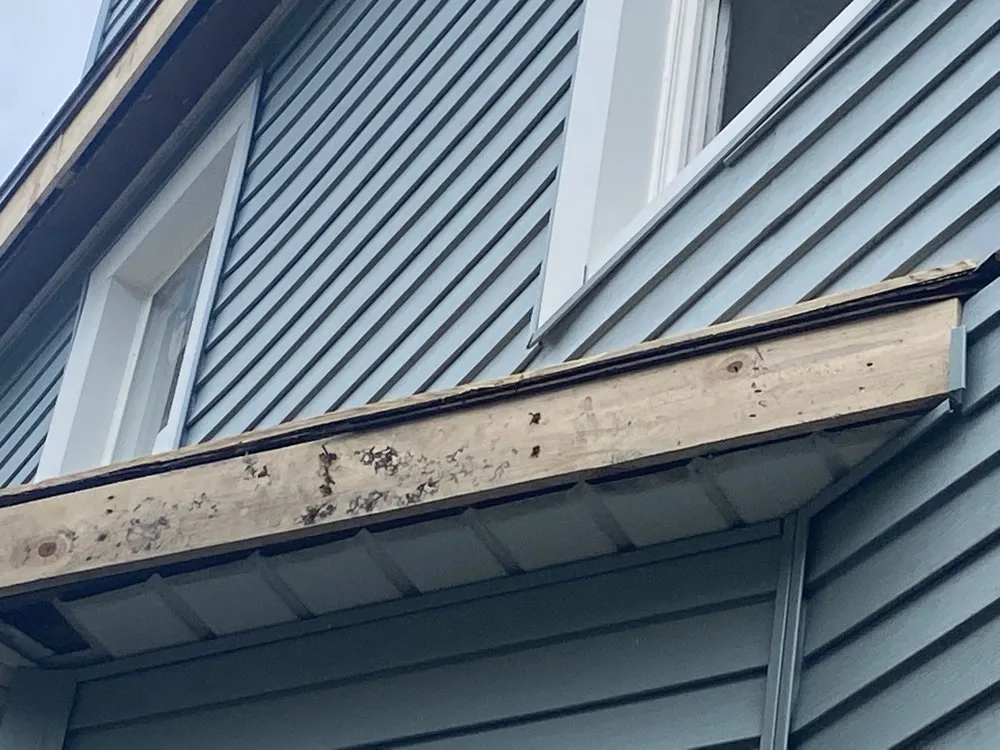 Slide of Luna carpentry