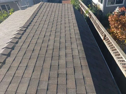 Luna construction Roofing Logo