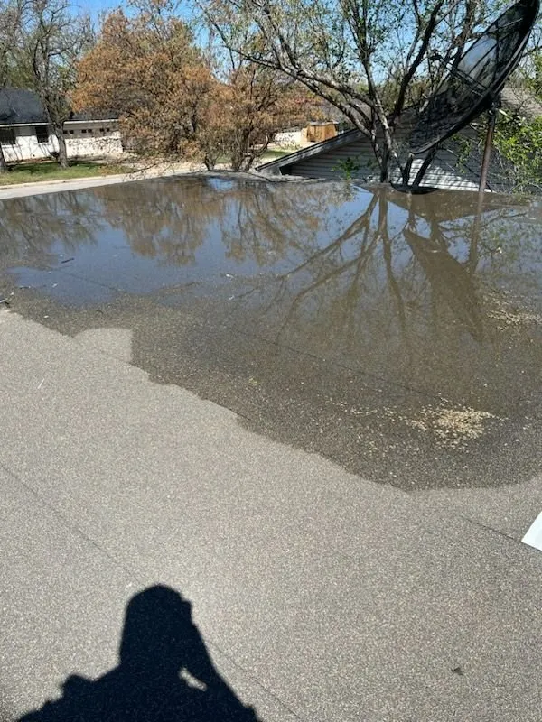 Slide of Luna Endeavors