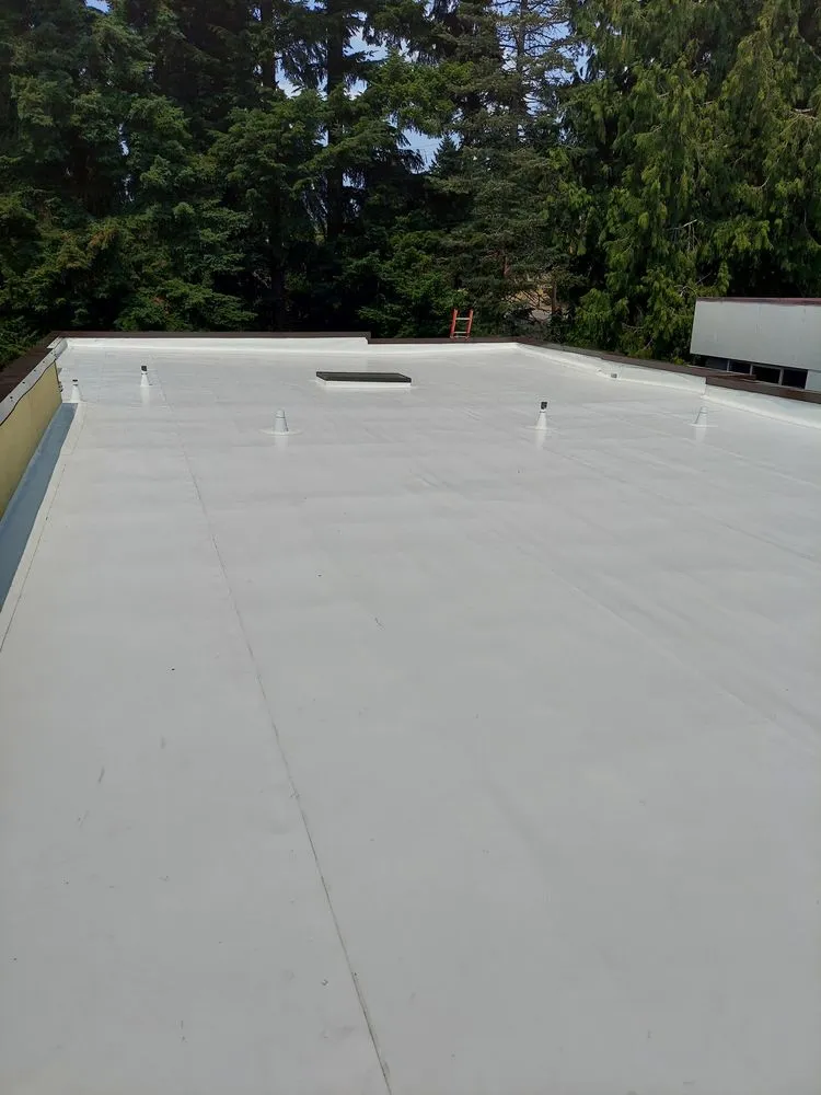 Slide of Luna Roofing