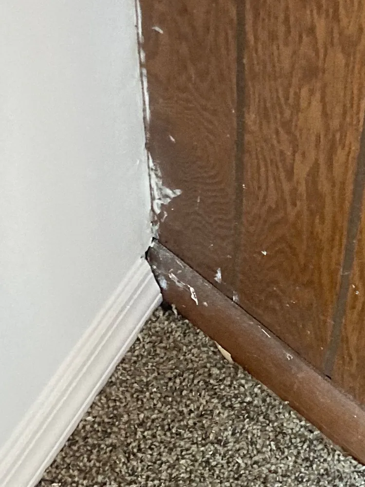 Slide of Luna’s Home Improvement