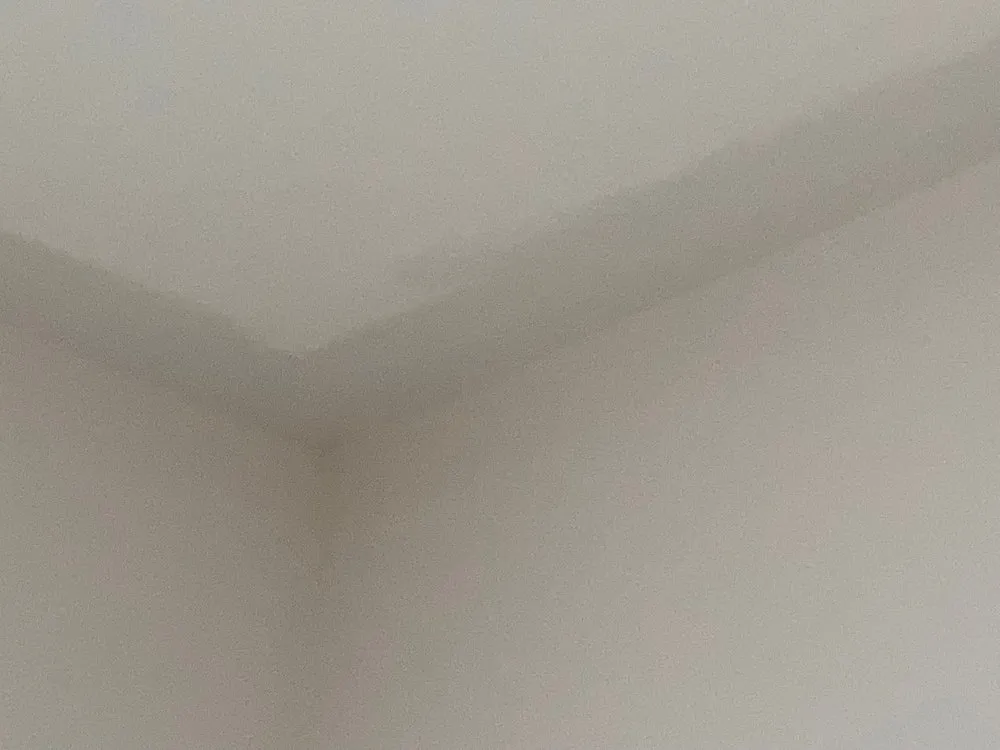 Slide of Luna’s Home Improvement