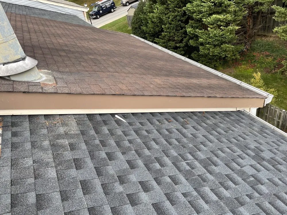 Slide of Luna’s Home Improvement