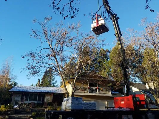 Lundy Solar and Roofing Co