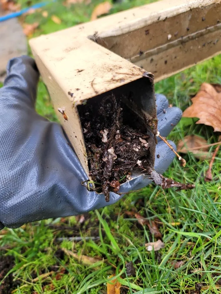 Slide of LUX Home Services