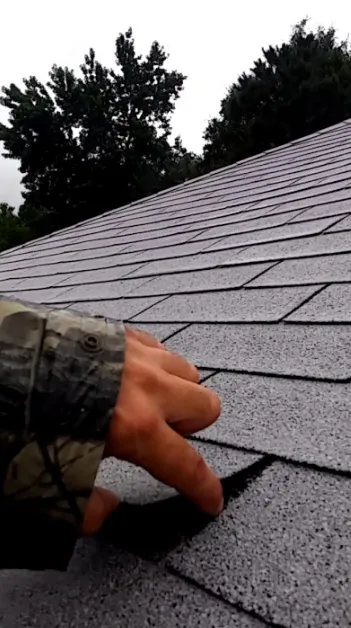 Slide of Luxia Gallery House