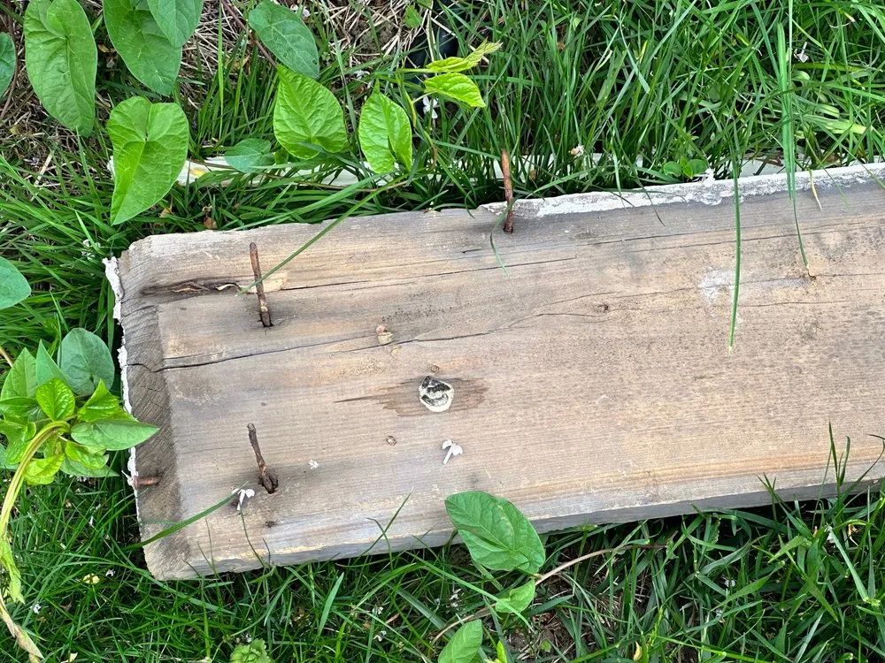 Slide of Luxury Masonry & Roofing