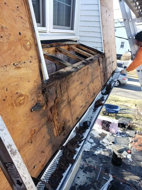 Slide of Luxury Rebuilding