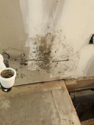 LV All Stars Roofing & Construction Logo