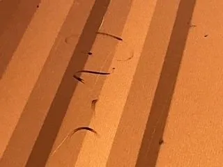 Slide of L&V Roofing