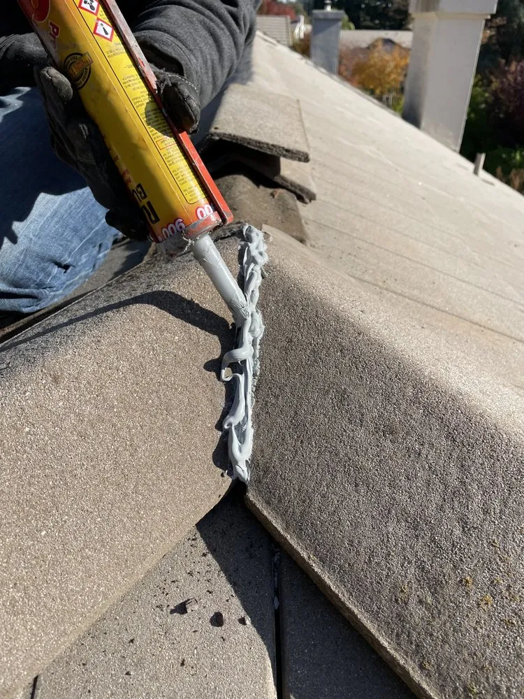 Slide of LXS Roofing