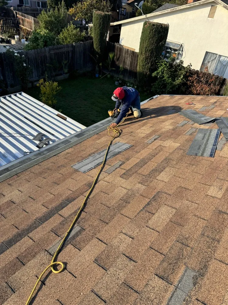 Slide of LXS Roofing