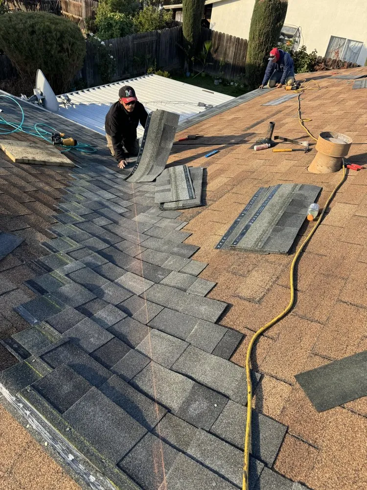 Slide of LXS Roofing