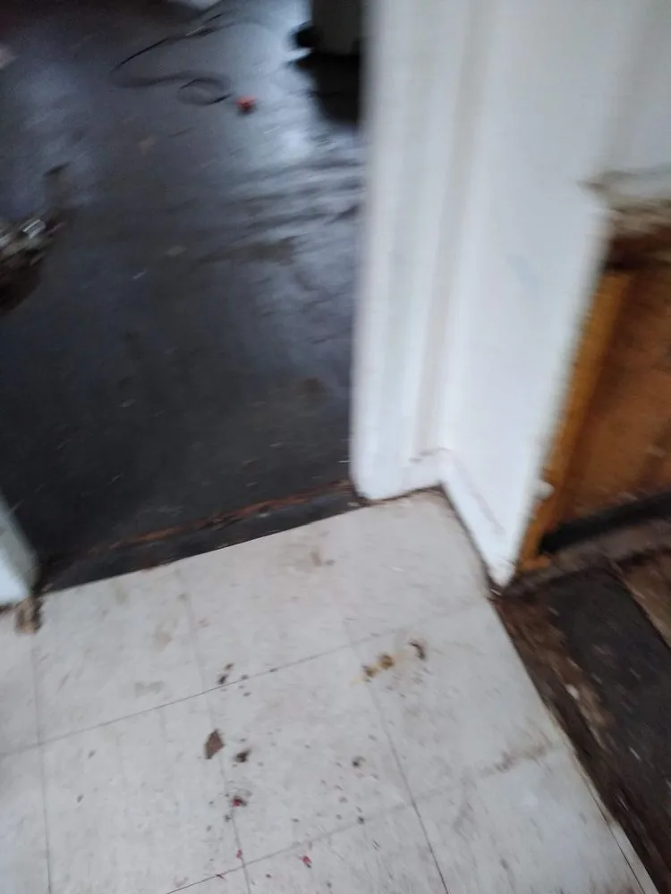 Slide of Lyfe Unlimited