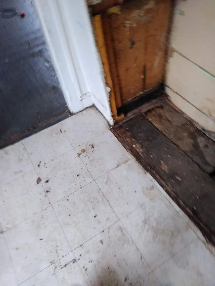 Slide of Lyfe Unlimited