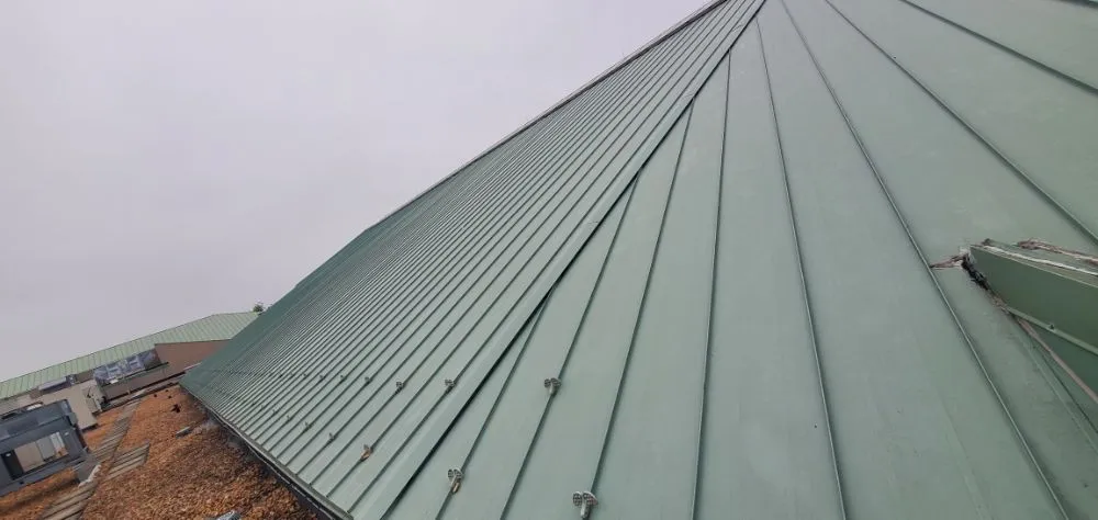 Slide of M & E Carrera