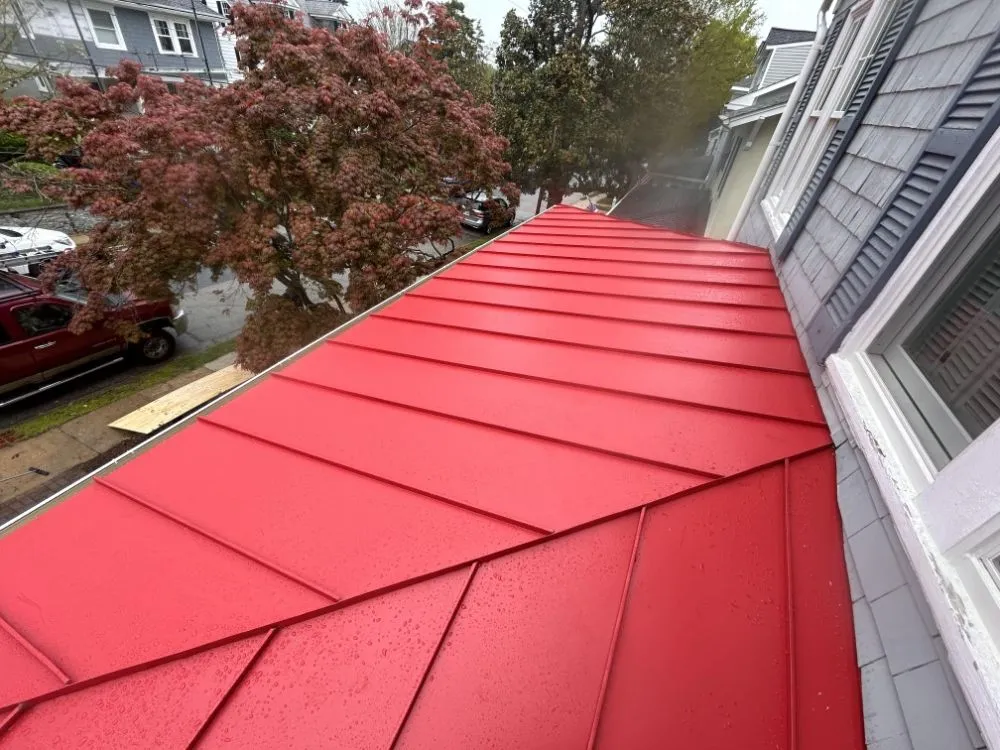 Slide of M & E Carrera