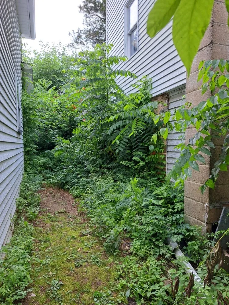 Slide of M & N Services