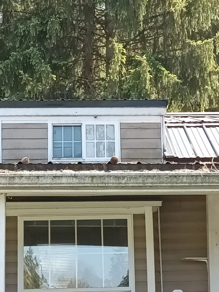 Slide of M Best Pressure washing and camp roof coating