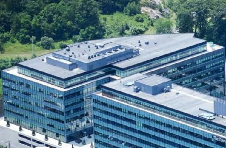 Slide of M Gottfried