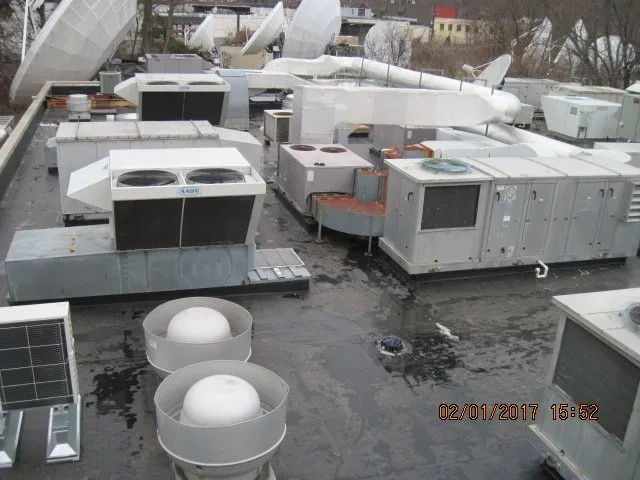 Slide of M Gottfried