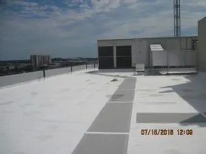 Slide of M Gottfried