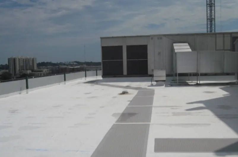 Slide of M Gottfried