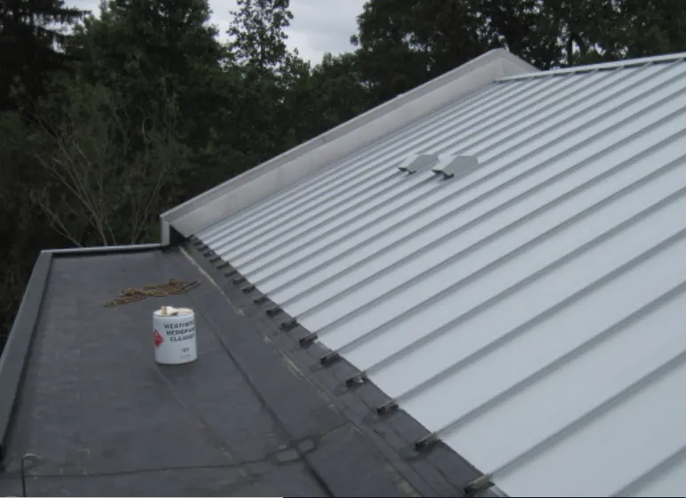 Slide of M Gottfried