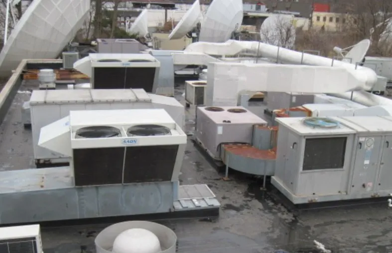 Slide of M Gottfried