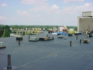 Slide of M Gottfried