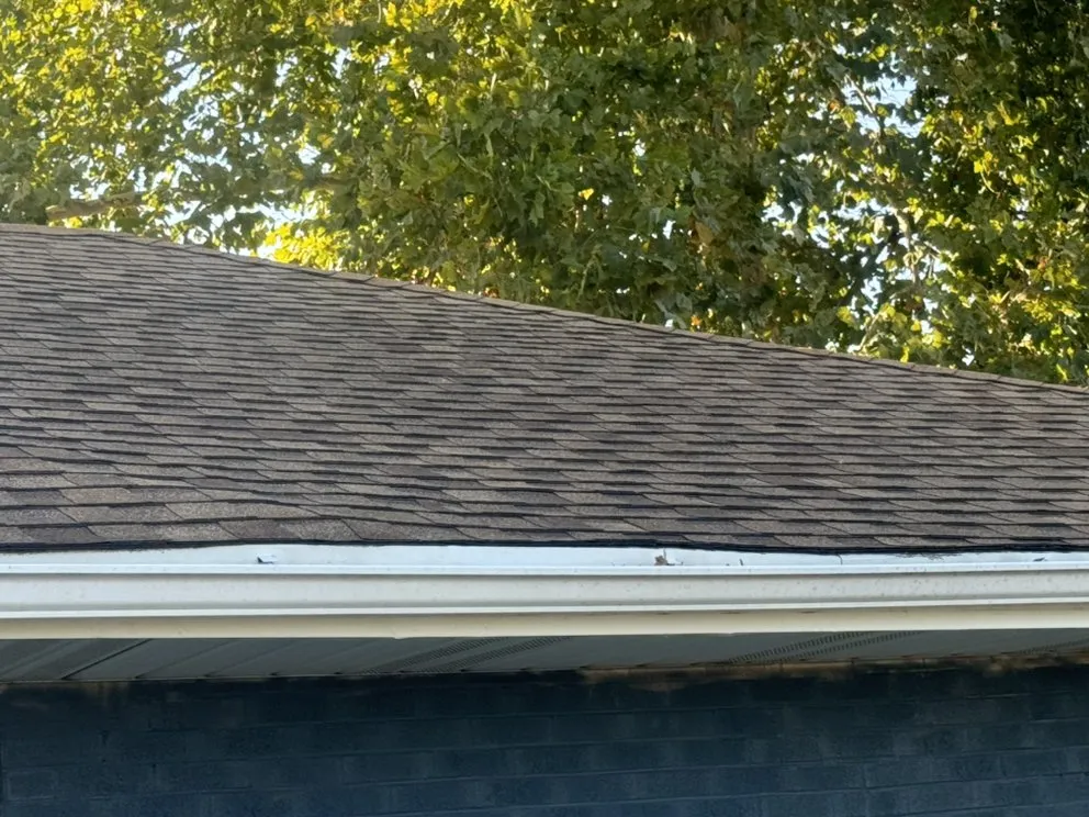 Slide of M Improvements