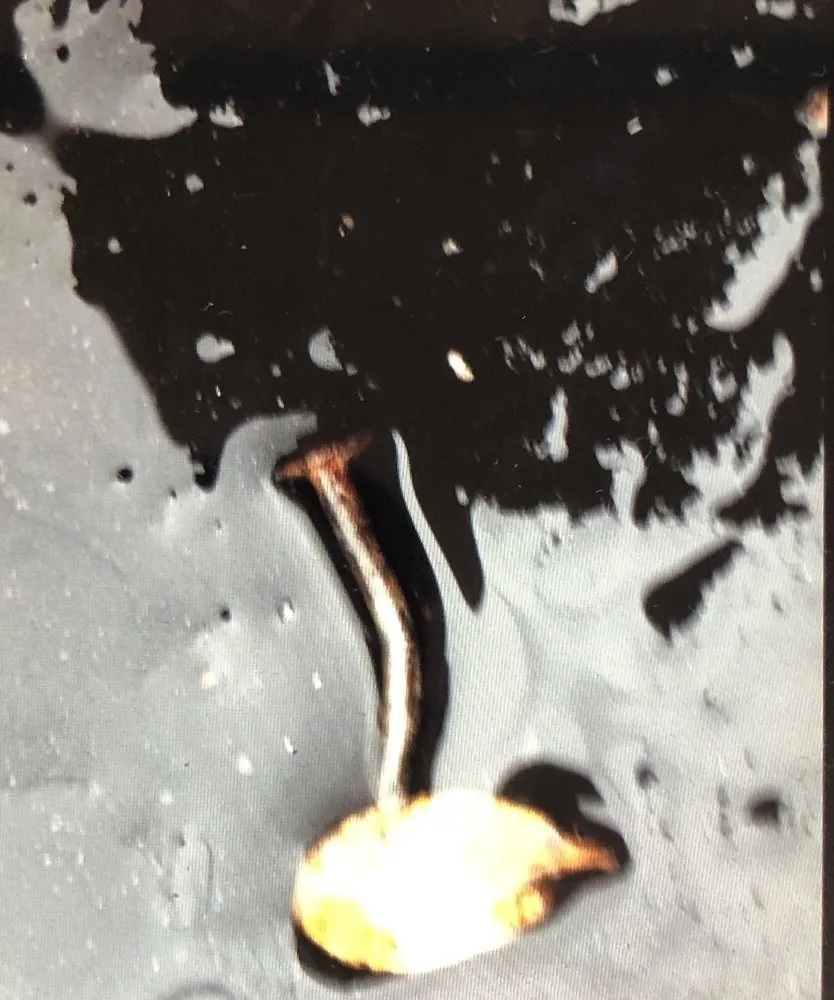 Slide of M. R. Plank Roofing