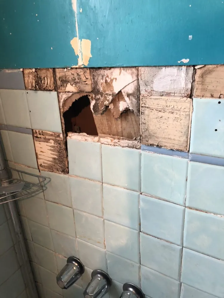 Slide of M Rahman Constriction