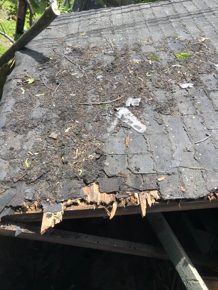 Slide of M Rahman Constriction