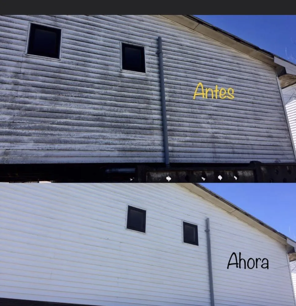 Slide of M Z Foundation & Cleaning