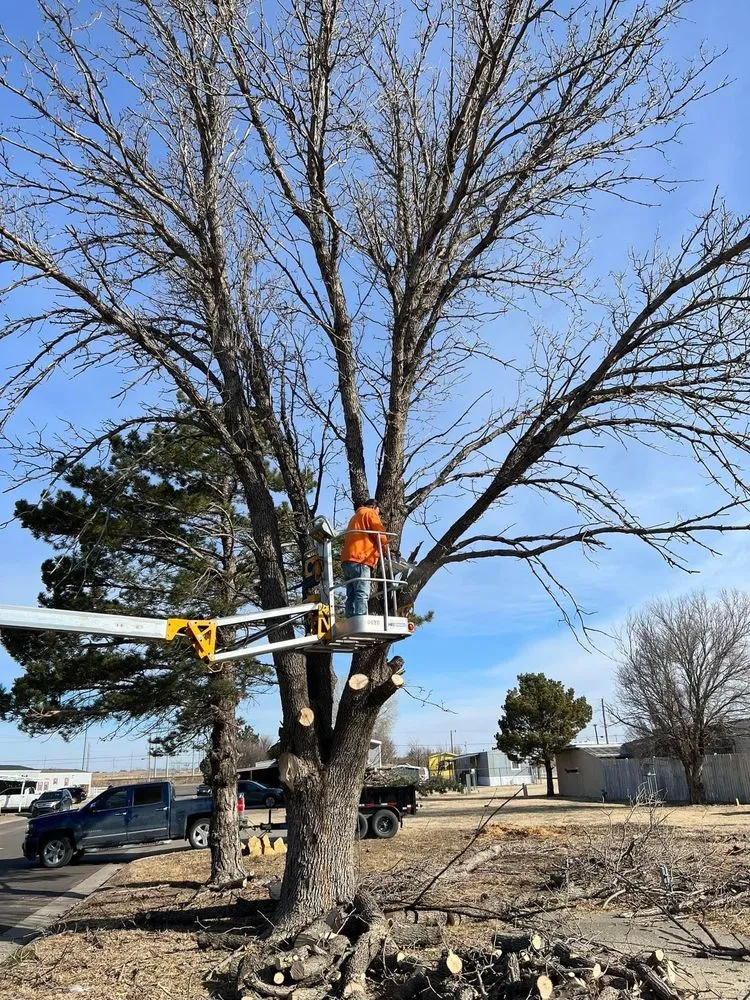 Slide of M2 General Contractors