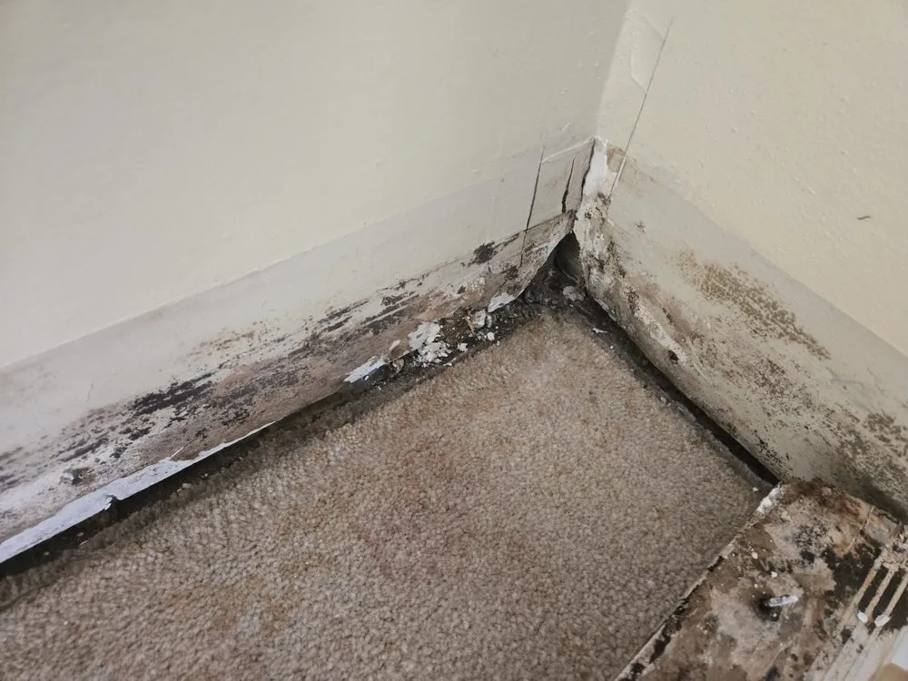 Slide of M5 Contracting