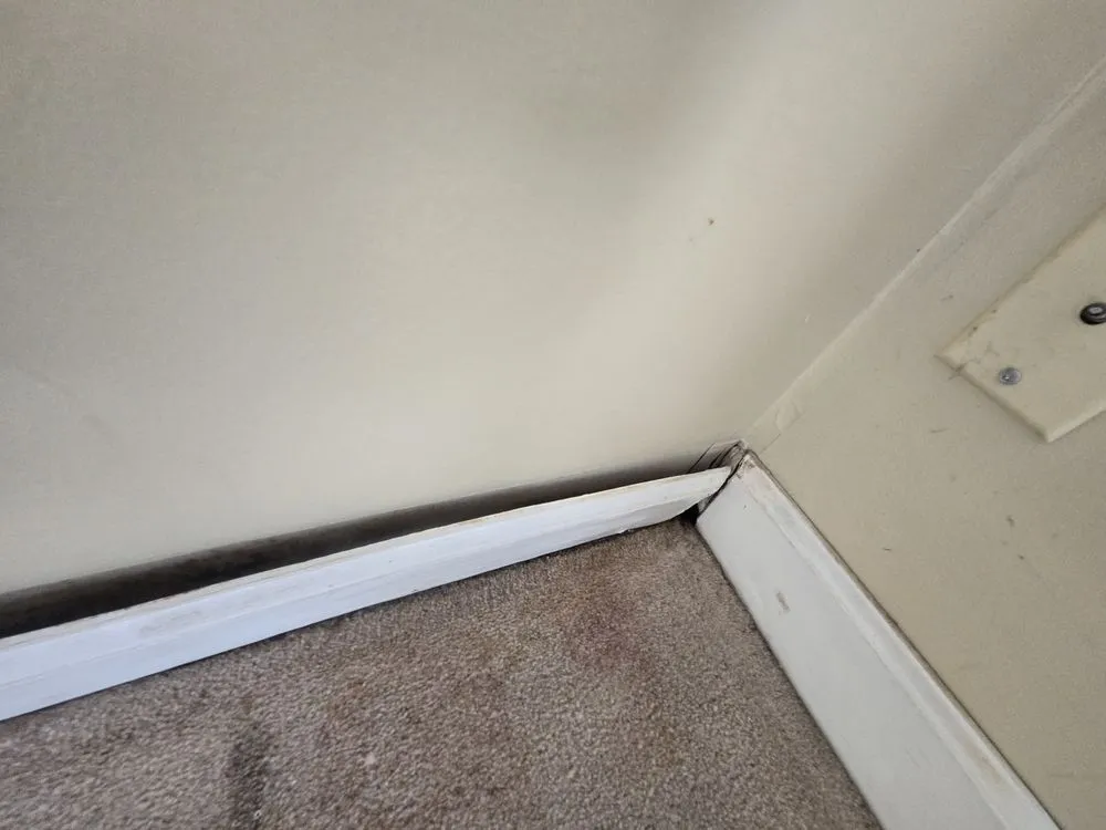 Slide of M5 Contracting