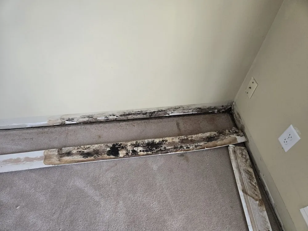 Slide of M5 Contracting