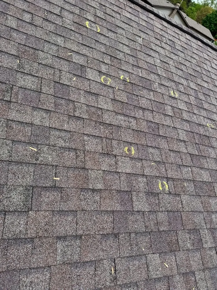 Slide of Mabel Construction