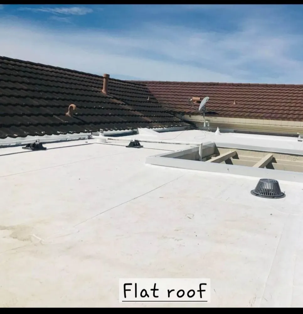 Slide of Macaw Roofing