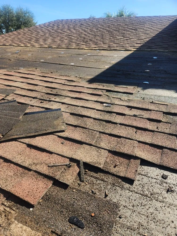 Slide of Macaw Roofing