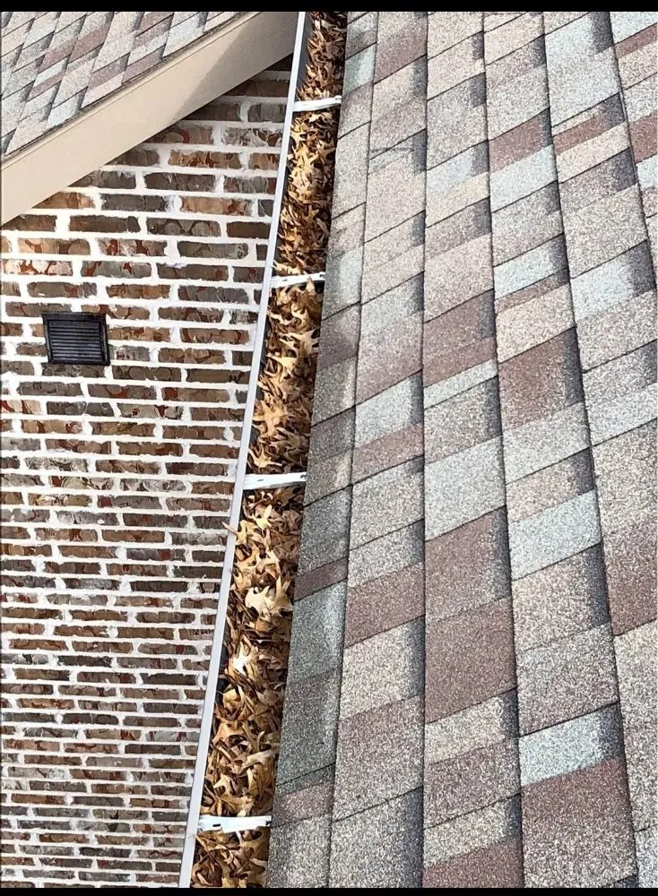 Slide of Macaw Roofing