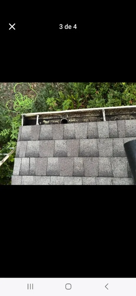 Slide of Macaw Roofing