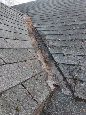 Machutas Handyman Services