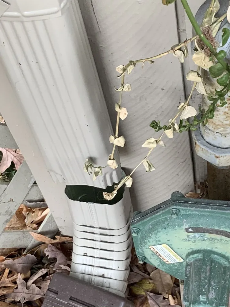 Slide of Mackey And Son construction