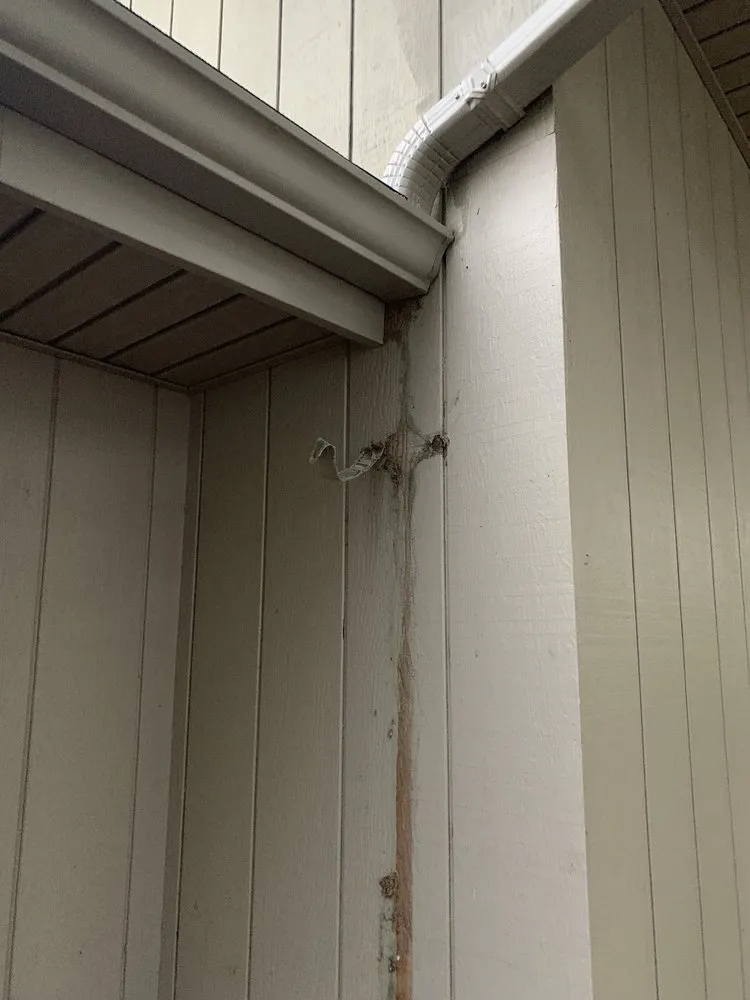 Slide of Mackey And Son construction